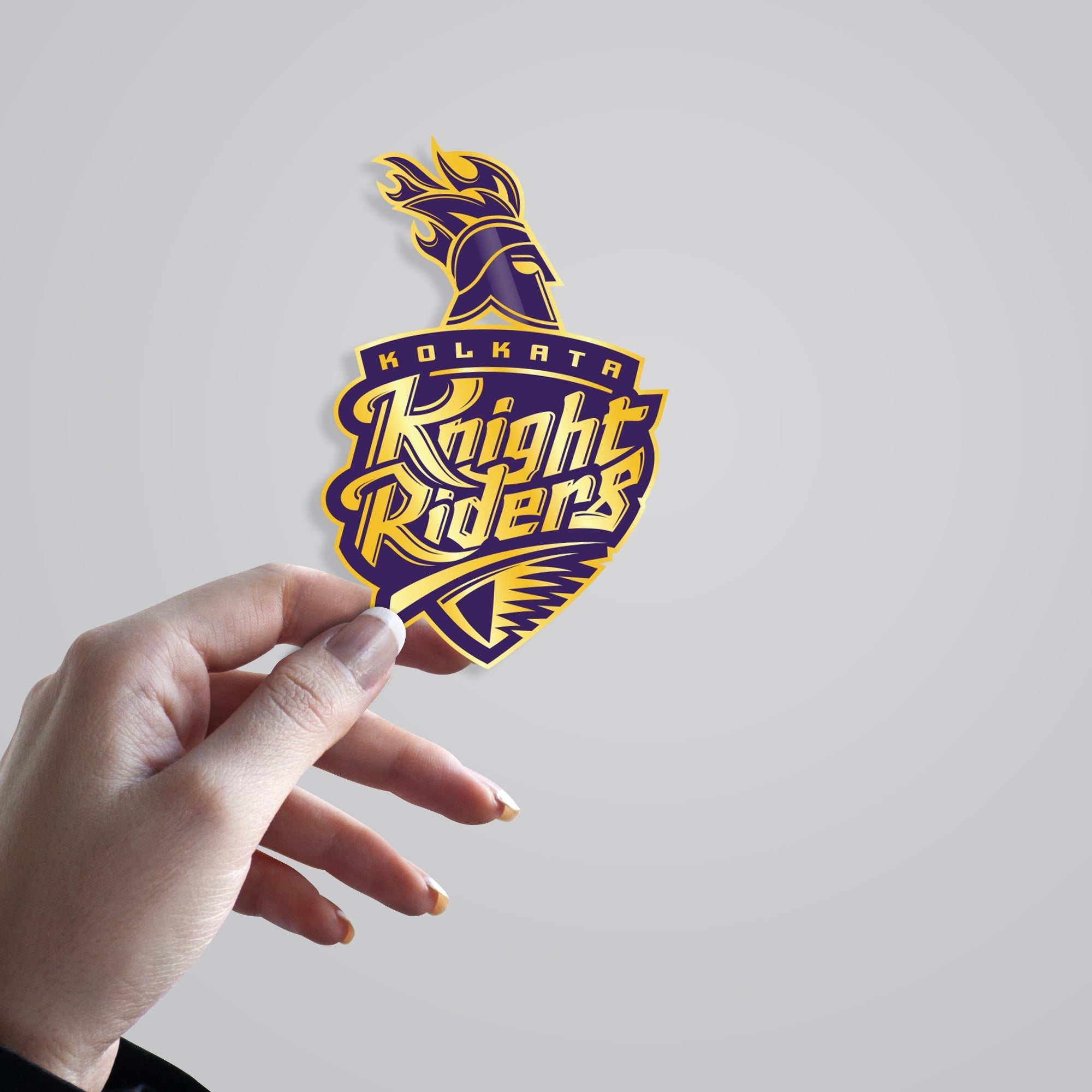 Knight Riders Logo Sports Stickers