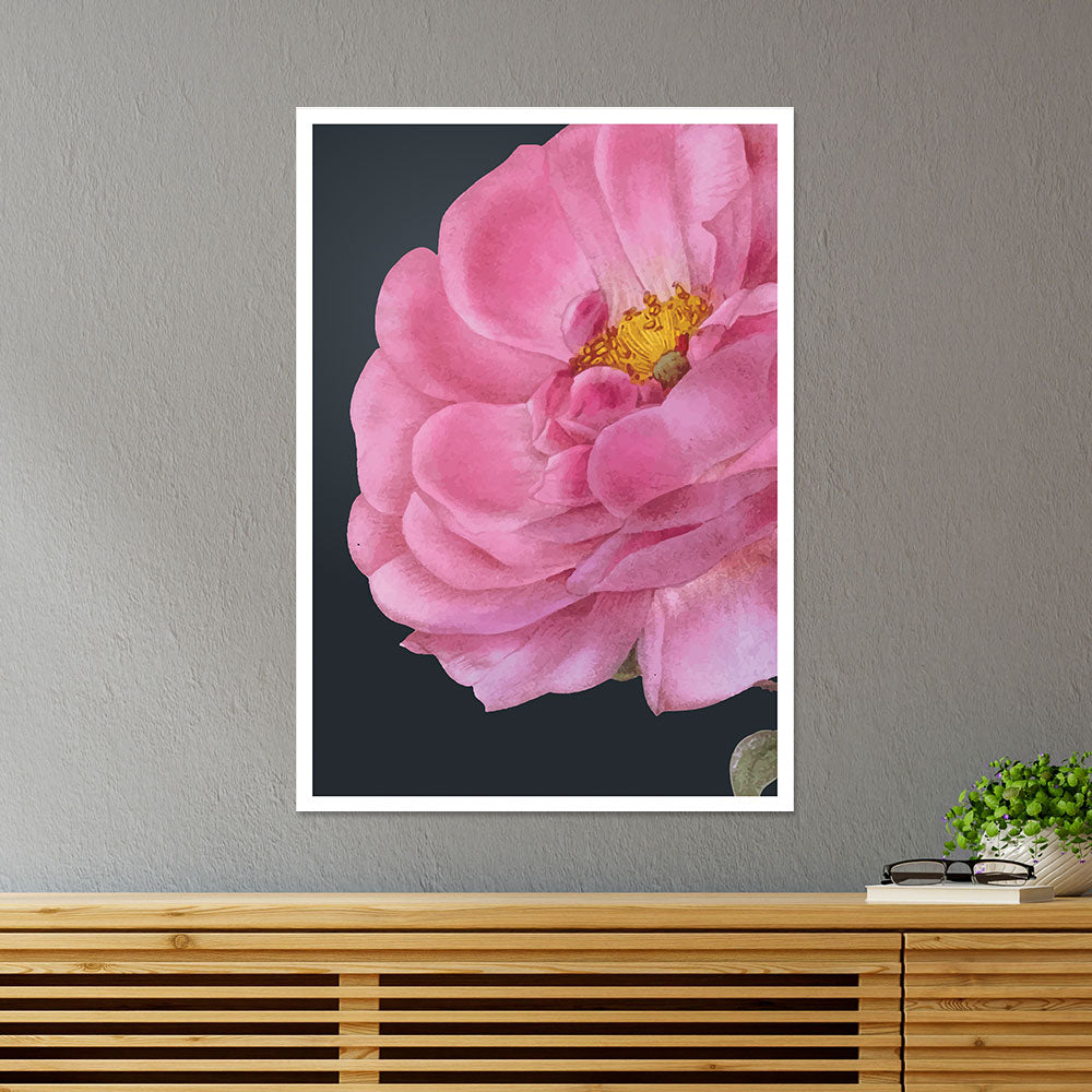 Damask Rose Botanical Poster