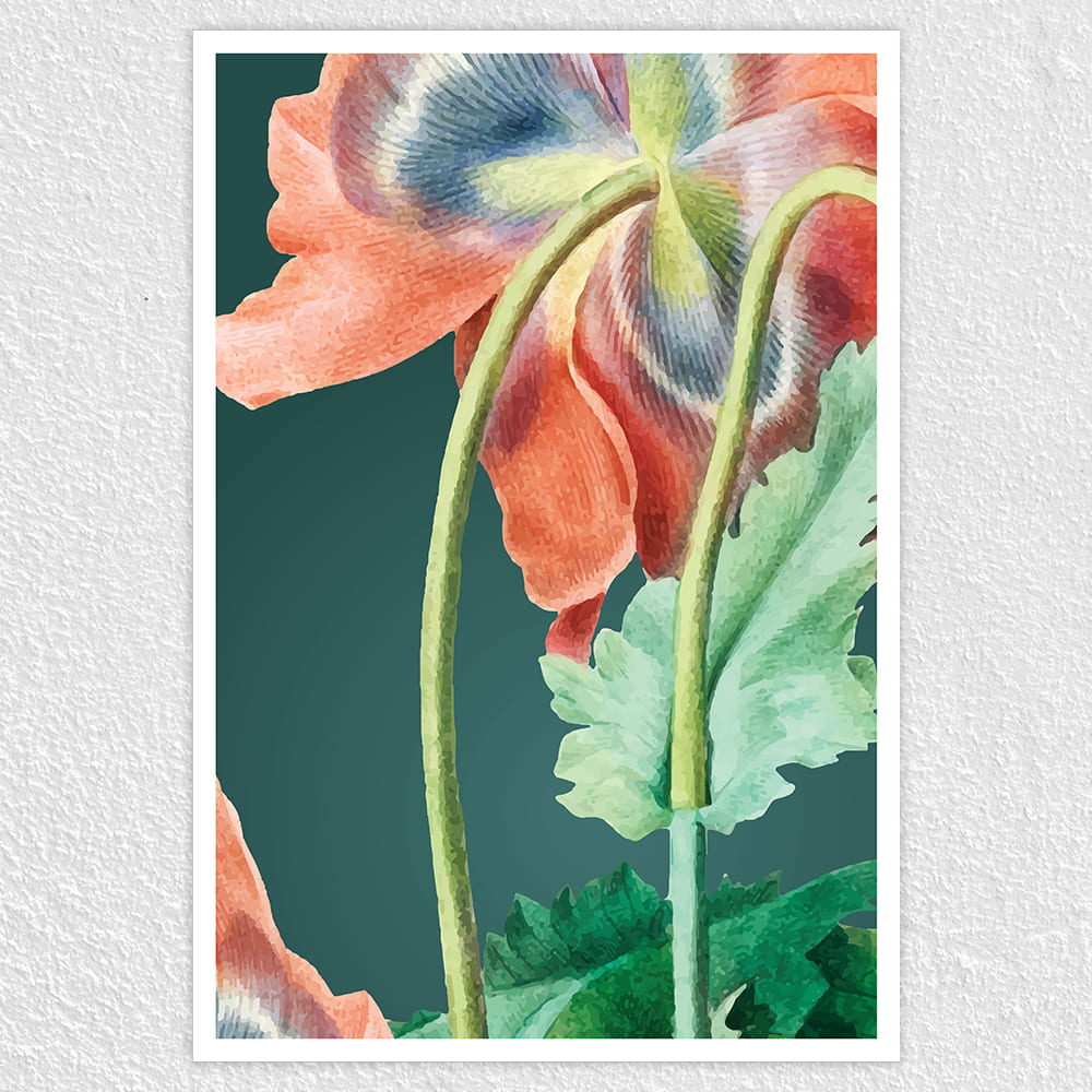 Fomo Store Posters Botanical Poppy Stem Flower  